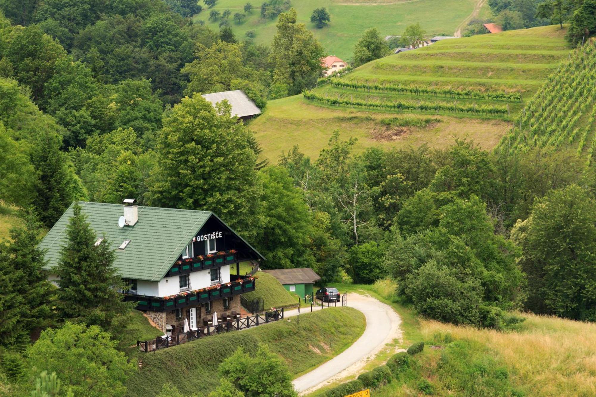 Pod Orehi Guest House Loče pri Poljčanah Exterior foto